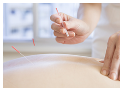 当院の子宝鍼灸は自律神経にアプローチすることで「子宮の血流が良い状態」に繰り返し整えていきます。