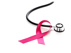 移植直前コース