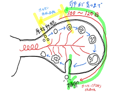 何年も現場から離れていた人でも大丈夫
