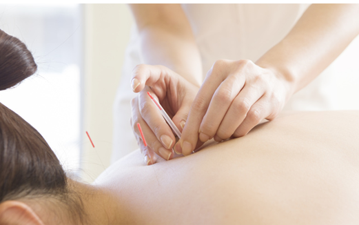 鍼灸や施術は妊娠力をアップする上で重要な血流の改善を得意としています。